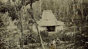 Daendels yang Galak Usir Pembalak Hutan