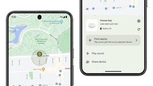 جاكرتا - تضيف Google مصادقة البيومترية إلى Find My Device