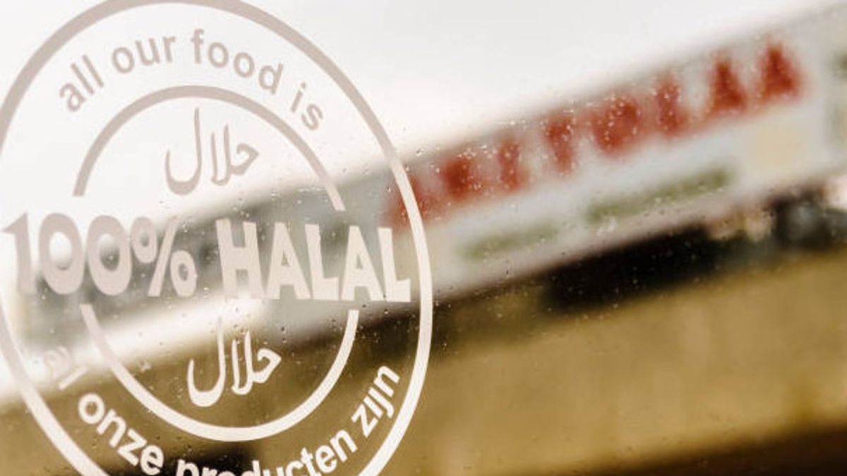 Viral Selebgram Santap Bakso Campur Kerupuk Babi, Pengunjung Wajib Tahu Aturan Makan di Restoran Halal