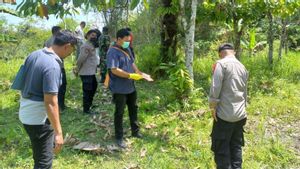 Police Arrest Mother In Central Lombok Throwing Baby Kandung Alive In Gardens