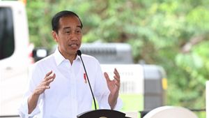 Presiden Jokowi 'Menyerah' Pindahkan Ibu Kota Sebelum Pensiun, PKB: Kita Sudah Bilang dari Awal, Tidak Mudah