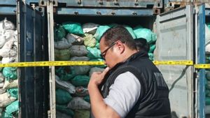    Pertambangan Batu Bara Ilegal di IKN Rugikan Negara Rp5,7 Triliun