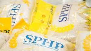 Soal Oplos Beras Kualitas Rendah Jadi Premium, YLKI Singgung Ancaman 5 Tahun Penjara di UU 8/1999 