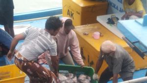 Hasil Ikan Tangkapan Nelayan di PPN Sungailiat Mencapai Nilai Produksi Rp12,2 Miliar