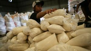 粮食部：需要跨部门讨论食糖援助提案