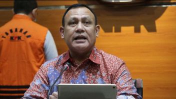 Pembangungan IKN Nusantara Akan Dikawal KPK