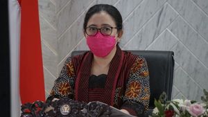Ketua DPR Puan Maharani Harap Vaksinasi COVID-19 Jangkau Seluruh Masyarakat