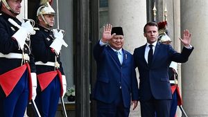 Kunjungan Presiden Prabowo Pertegas Kemitraan Strategis RI-Prancis