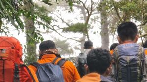 Erupsi Sebanyak 22 Kali, Basarnas Padang Evakuasi 164 Orang Pendaki dari Gunung Marapi