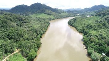 Jalan Panjang Pembangunan PLTA Sungai Kayan 