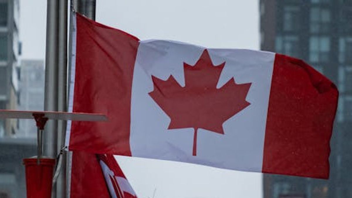 加拿大延续引入大型科技公司的数字服务税