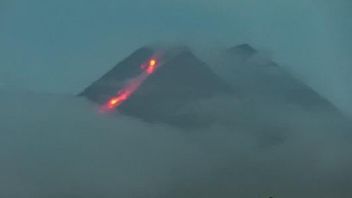 هذا الصباح، جبل ميرابي تطلق سحابة ساخنة من الخريف بقدر 1000 متر