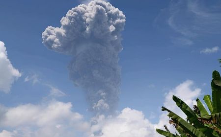 Gunung Ibu Maluku Utara Meletus Lontarkan Abu Vulkanik Setinggi 5 Km