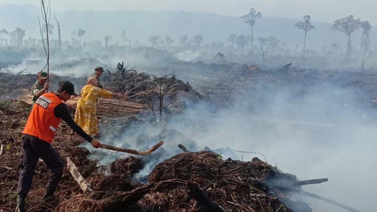 南アチェの3ヘクタールの森林と土地が焼失
