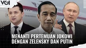 Jokowi Akan Bertemu Zelensky dan Putin, Apa yang Akan Dibicarakan?