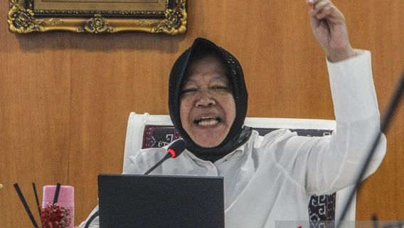 Mensos: 98,5 Persen Anggaran Kemensos 2024 untuk Perlindungan Sosial