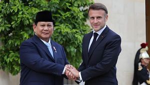 Macron Scheduled To Akmil And Borobudur, Accompanied By President Prabowo