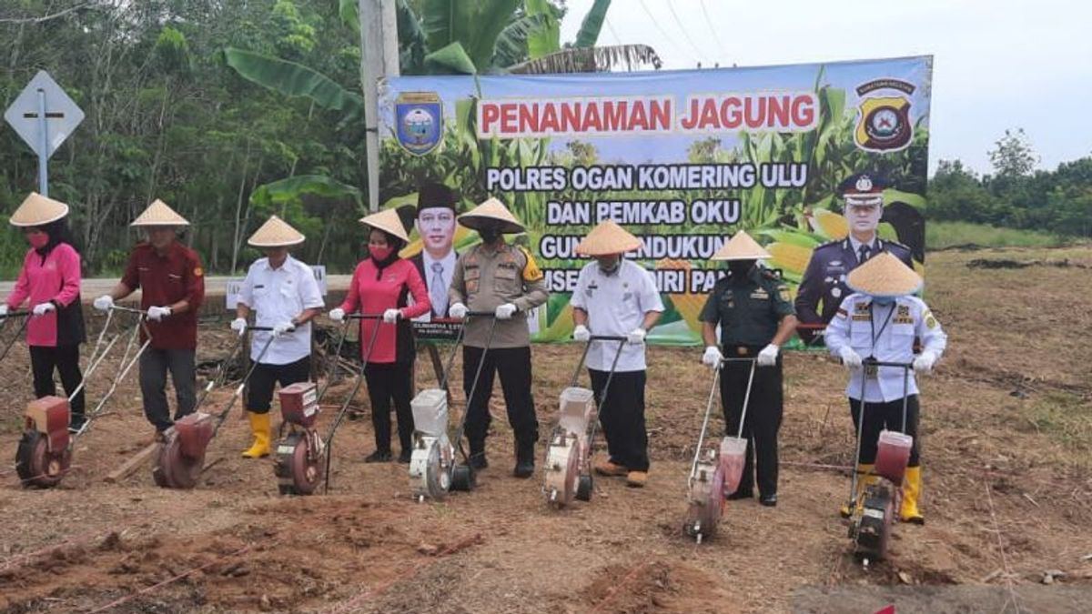 Panen Jagung Petani di OKU Mampu Lampaui Target Nasional, Wujudkan Sumsel Mandiri Pangan