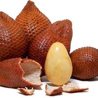 Mengetahui Kandungan Buah Salak dan Manfaatnya bagi Kesehatan Tubuh