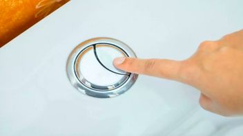 Perbedaan Fungsi Dua Tombol Flush di Toilet Duduk, Sudah Tahu?