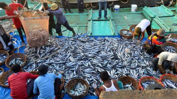 To Make It Easier To Catch Fish, Minister Trenggono Develops 'Laut Nusantara' Application
