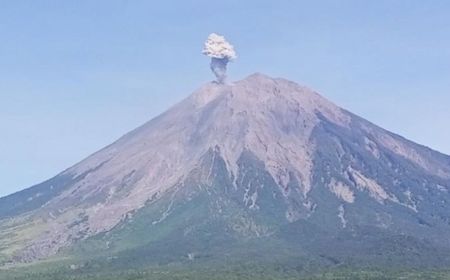 Gunung Semeru Kembali Erupsi, Semburkan Abu Vulkanik 800 Meter dari Puncak