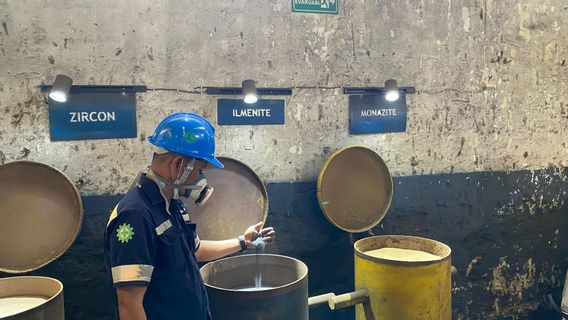 Mau Garap Logam Tanah Jarang, TINS: Terkendala Spek