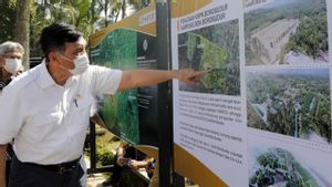 Luhut: Candi Borobudur Kebanyakan Pengunjung dan Itu Masalah