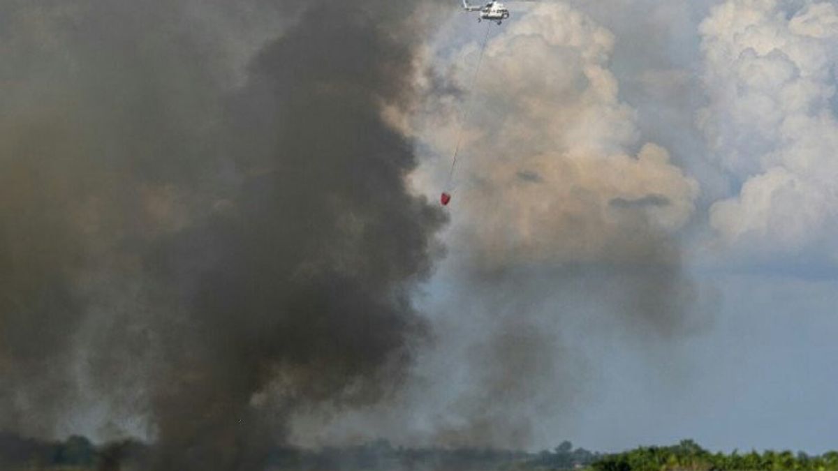 Des Feux De Forêt Et De Terre Apparaissent Dans 3 Districts Du Sud De Sumatra