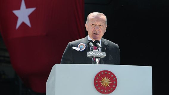エルドガン大統領、イラン問題解決に自信