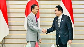 Jokowi et le Premier ministre Kishida discutent de la coopération bilatérale sur les questions palestiniennes