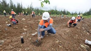 Upayakan Pemulihan Lahan Pascatambang, SIG Tanam 13.424 Batang Pohon untuk Perlindungan Keanekaragaman Hayati di Aceh