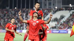 Apresiasi Kesuksesan Timnas Indonesia U-22 Raih Emas SEA Games, Mantan Pemain Berharap PSSI Terus Lakukan Pembenahan