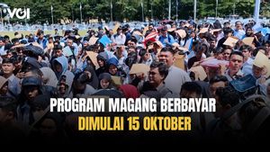 Honor Magang Berbayar Rp3,3 Juta per Bulan, Airlangga Hartarto: Mulai 15 Oktober