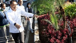Wali Kota Surabaya Mau Taman Kota Bisa Rimbun Tapi Terlihat Terawat