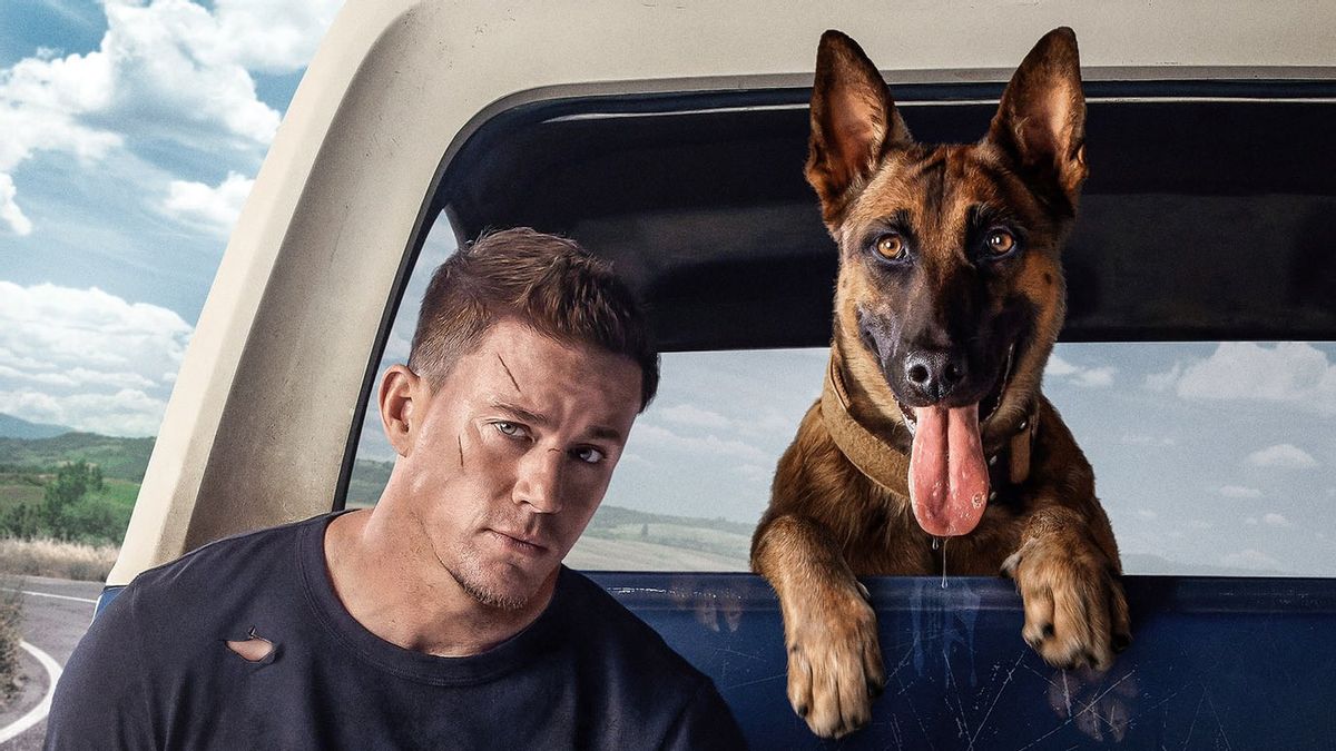 Review Film Dog: Perjalanan Bersama Anjing dan Manusia yang Hangat