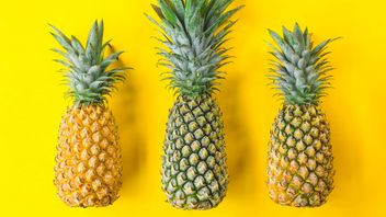 Used To Be Equivalent To Gucci Bags, Pineapple Was Once An Emble For The Luxury Of Nobles