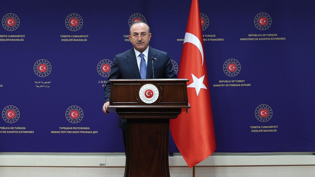Condemning West For Sowing Panic In Ukraine, Turkish Foreign Minister: Unnecessary Statements Must Be Avoided
