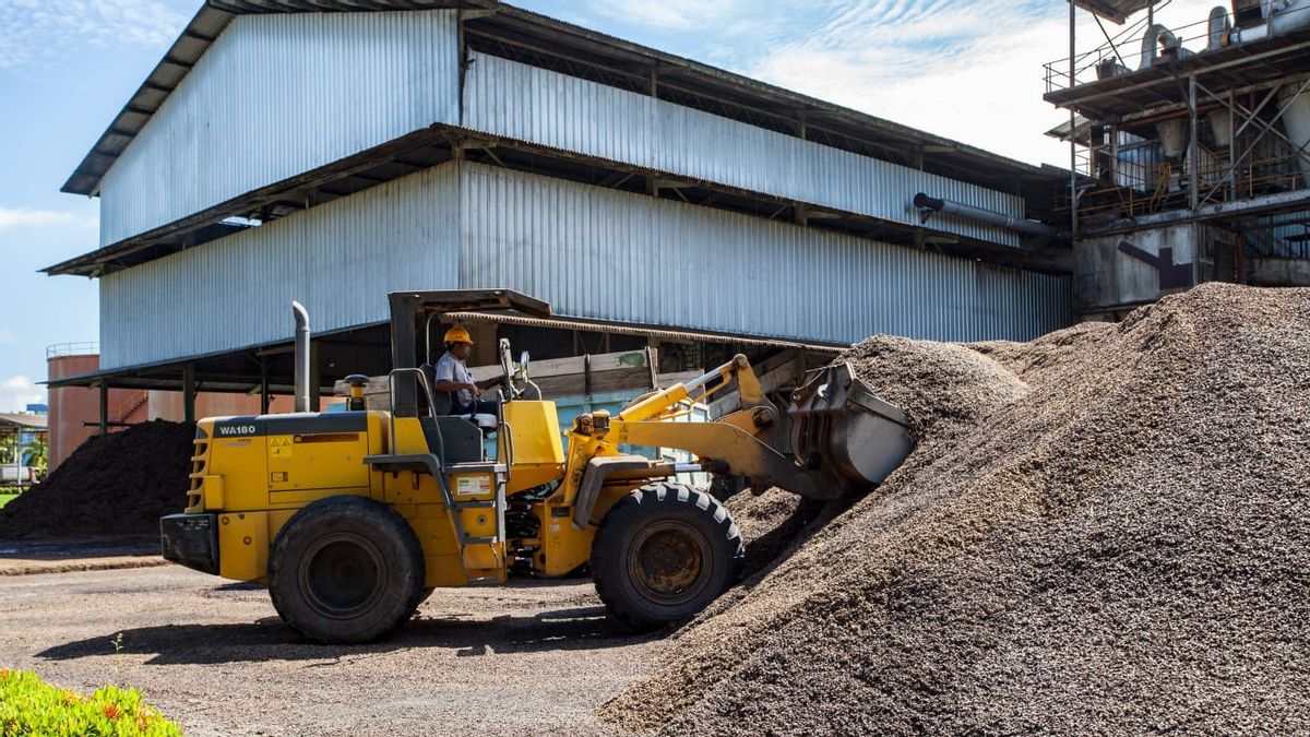 Potensi Limbah Sawit Besar, Akademisi Dorong Hilirisasi dan Revisi Regulasi