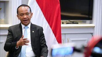 Avec des mines, Bahlil s’est assuré qu’il s’est remise aux professionnels depuis le poste de ministre du Cabinet Jokowi