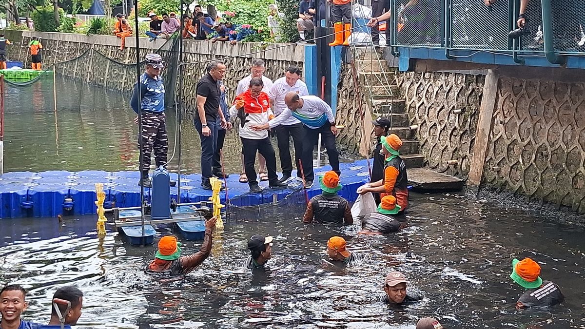 Ikan Sapu-sapu Kuasai Jakarta, Pramono Sebut Ekosistem Sungai Dirusak