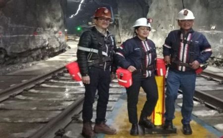 Dapat Lampu Hijau Ekspor, Freeport Harap Izin Terbit Pekan Ini