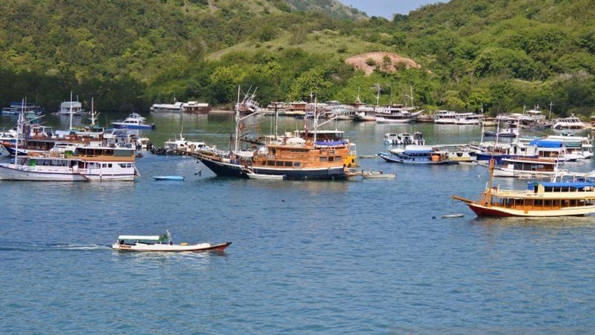 Can Tternish Labuan Bajo Tourism, West Manggarai Regency Le Gouvernement Exhorté à Ordonner Aux Agents De Voyages