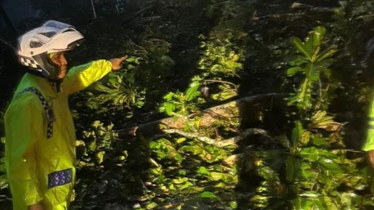 地すべりがアナイ渓谷のパダン・ブキティンギへのアクセスを決定し、住民の移動と物流が混乱