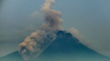 Merapi Lance Hot Cloud Fall Jusqu’à 2,2 Km En Direction De Kali Bebeng