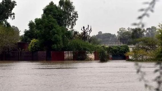ケニアの大洪水、76人が死亡