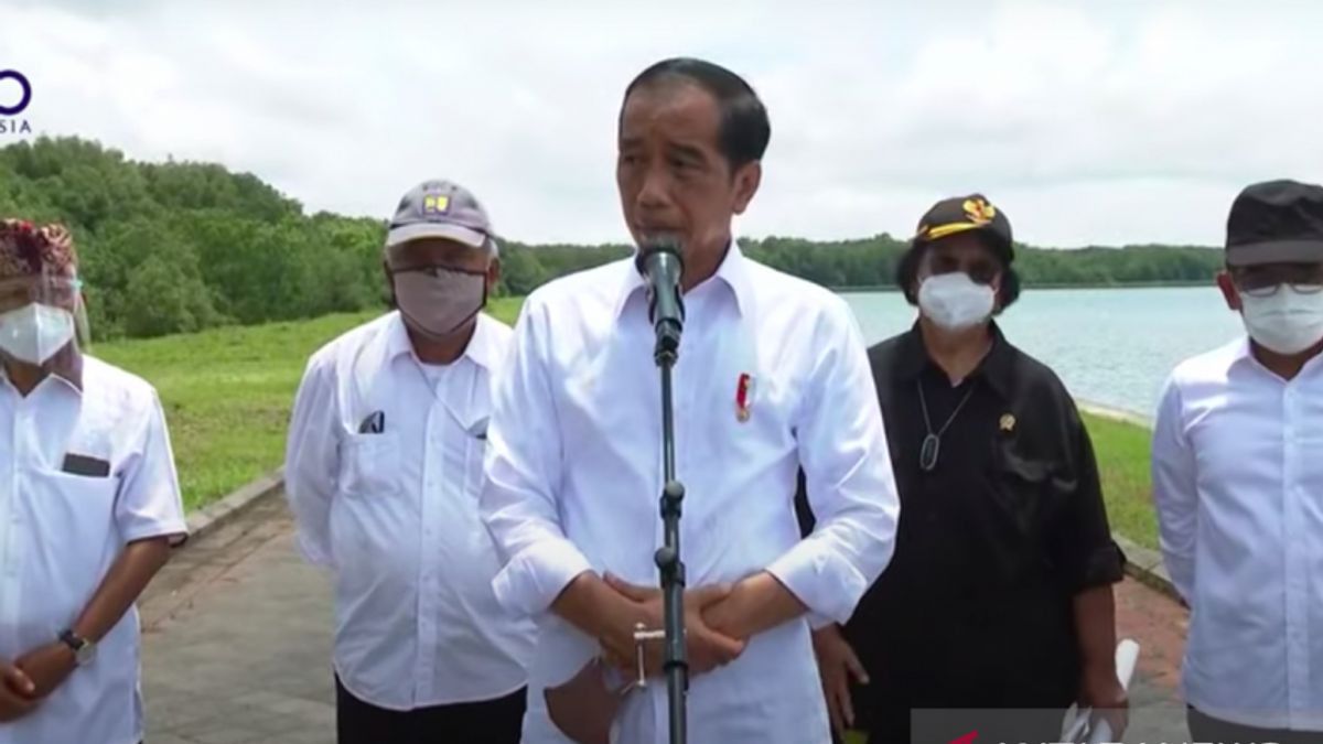 Presiden Jokowi Bakal Ajak 20 Pimpinan G20 Tinjau Konservasi Mangrove di Bali 