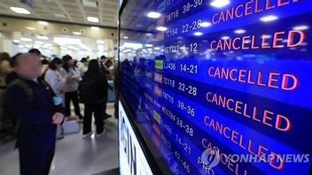 246 Penerbangan di Jeju Batal, Ribuan Penumpang Tertahan Akibat Angin Kencang
