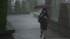 11月初,该国大部分城市都将下雨