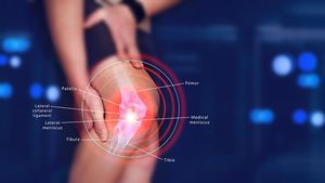 Symptoms Of Anterior Krusian League Injury To Know